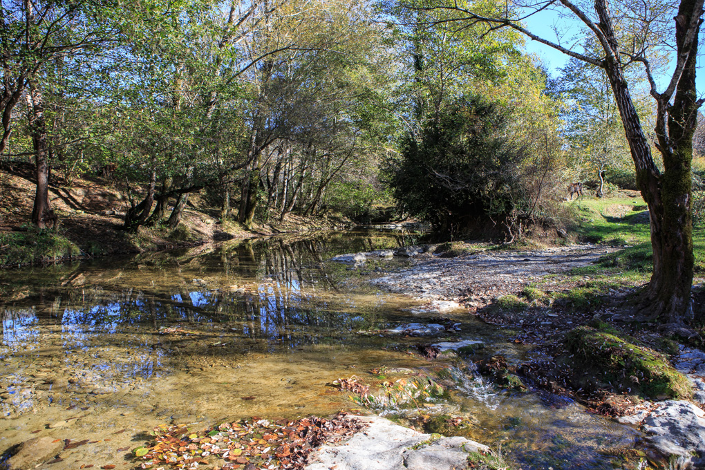 Merkheuli